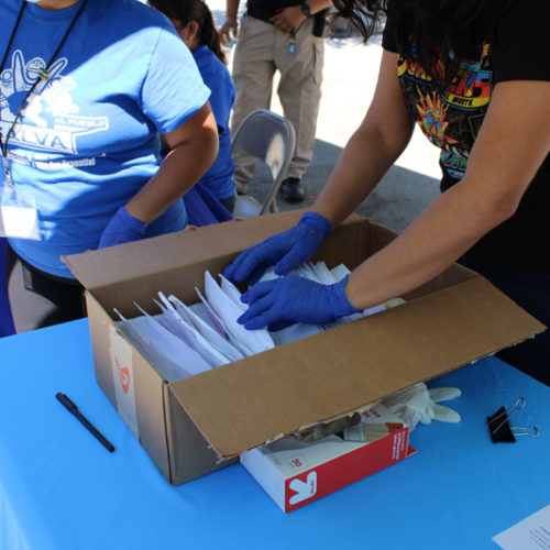 Volunteer worker organizing a box